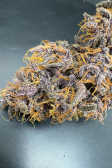 Instagram Purple Haze Auto™