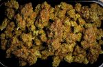 Instagram Guava Runtz Auto™