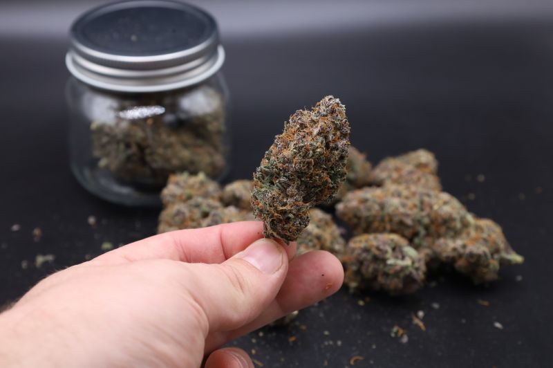 Instagram Mango Cherry Runtz Auto