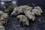 Instagram Mendo Guava Auto™
