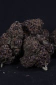 Instagram Banana Purple Punch Auto RF3™