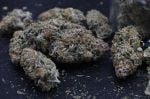 Instagram Mendo Cherry Cookies Auto™