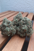 Instagram Gorilla Melon™