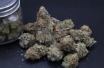 Instagram Guava Runtz Auto™