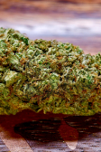 Instagram Gorilla Melon™