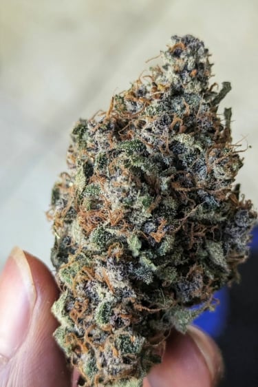 Instagram Strawberry Pie Auto