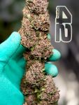 Instagram Mango Cherry Runtz Auto™