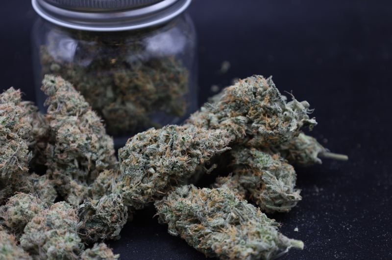 Instagram Garlic Mint Sherbet Auto