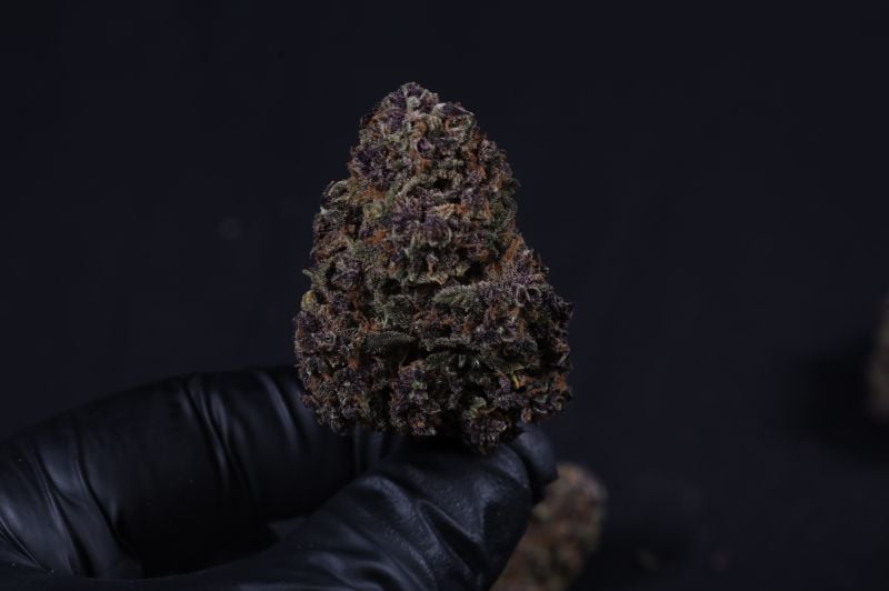 Instagram Mix Pack Auto RF3