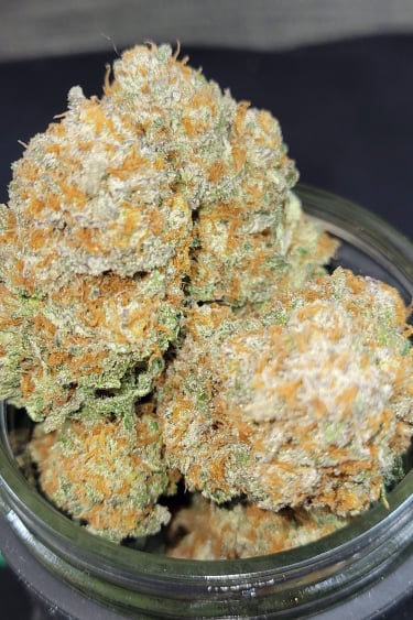 Instagram Apple Strudel Auto