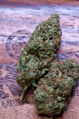 Instagram Gorilla Melon™