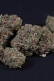 Instagram Cherry Cola Auto RF3™