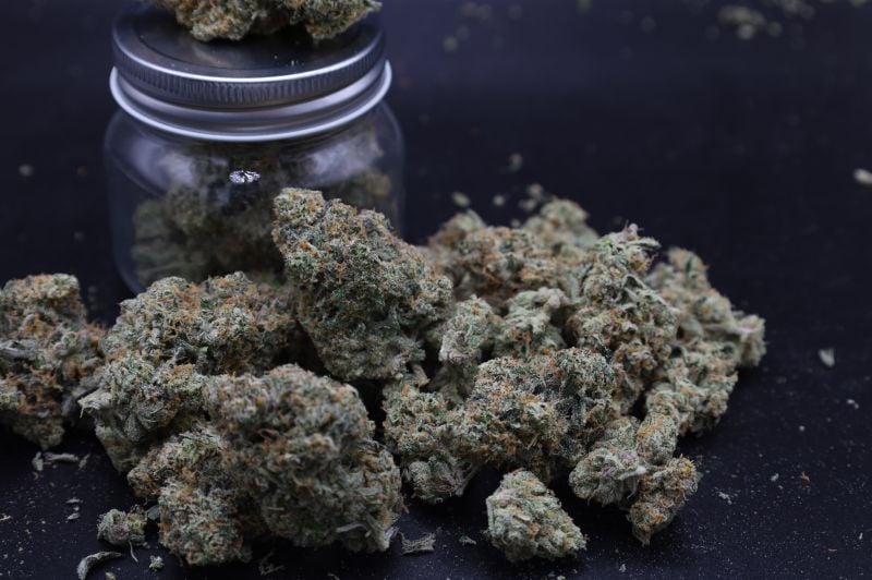 Instagram GMO Auto