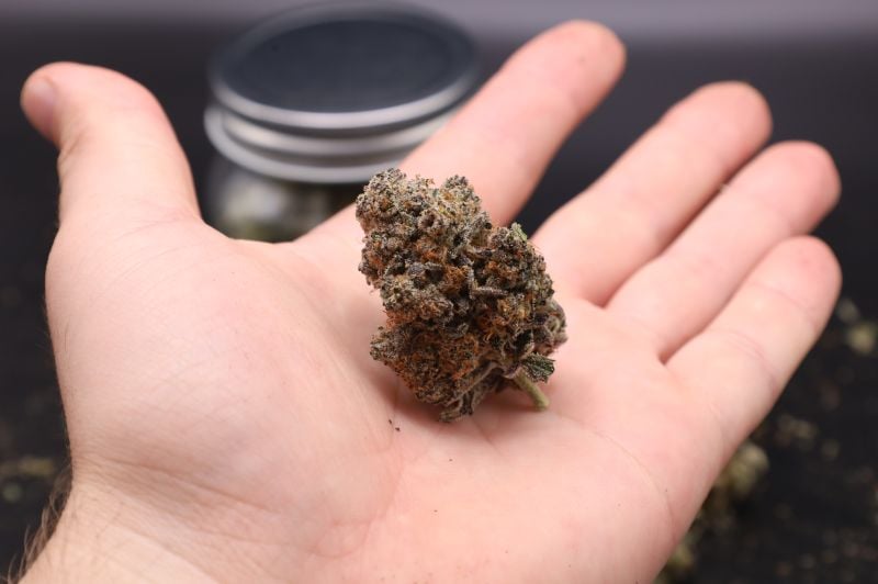 Instagram Lemon Cherry Sundae Auto