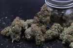 Instagram Mendo Cherry Cookies Auto™