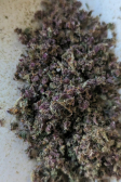 Instagram Strawberry Pie Auto