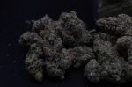 Instagram Pineapple OG Auto™