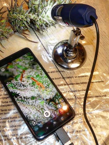 Instagram Mimosa Cake Auto