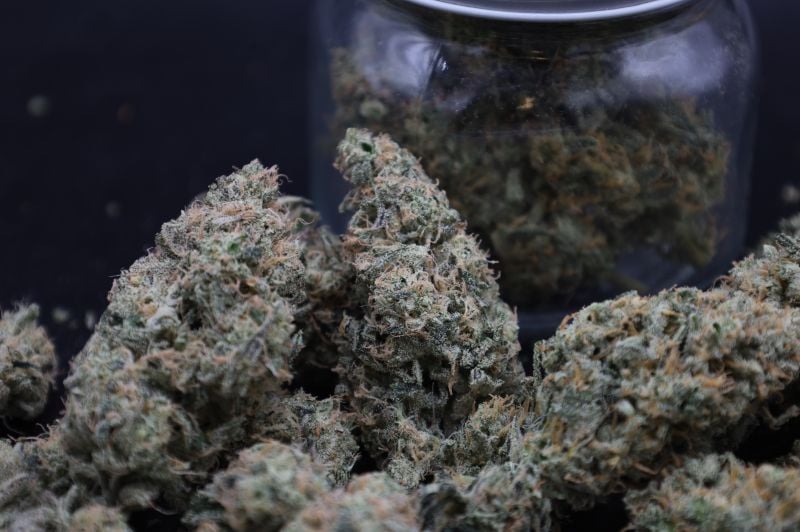 Instagram Garlic Mint Sherbet Auto