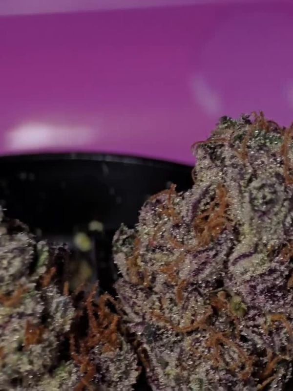 Tropicana Cookies FF @_island_terps IG 4