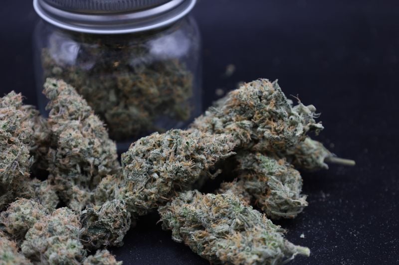 Instagram Garlic Mint Sherbet Auto