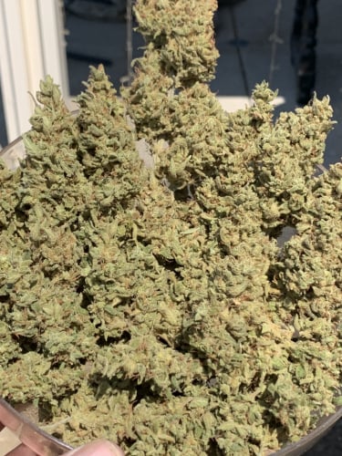 Instagram Mimosa Cake Auto