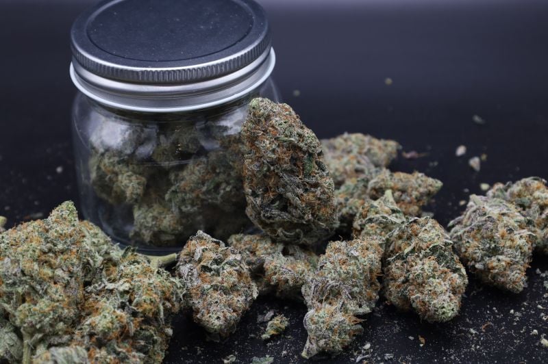 Instagram Mendo Guava Auto
