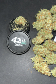 Instagram Gorilla Z Auto