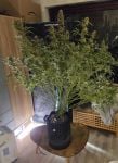 Instagram Guava Sundae Auto™