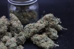 Instagram Garlic Mint Sherbet Auto™