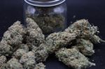 Instagram Garlic Mint Sherbet Auto™