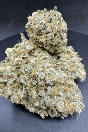 Instagram OG Kush Auto