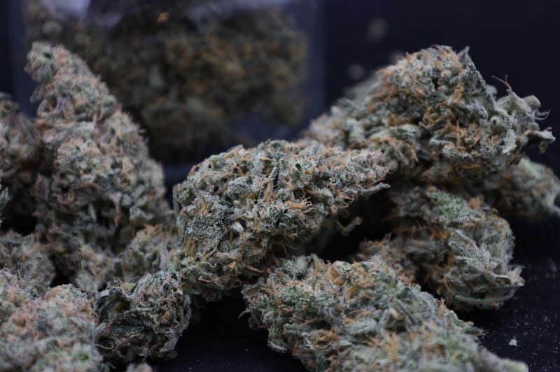 Instagram Garlic Mint Sherbet Auto