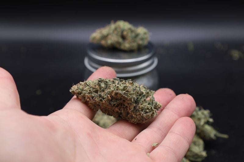 Instagram Garlic Mint Sherbet Auto