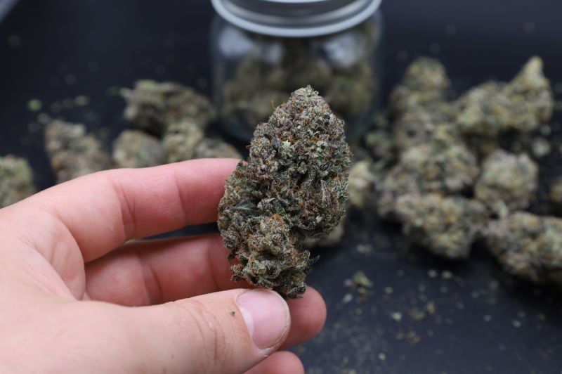 Instagram Mango Frost Auto