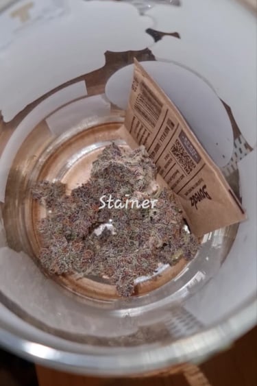 Banana Purple Punch Auto