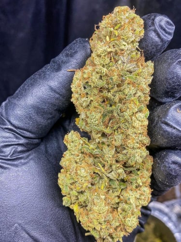 Instagram Wedding Cheesecake Auto