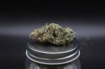 Instagram Garlic Mint Sherbet Auto™