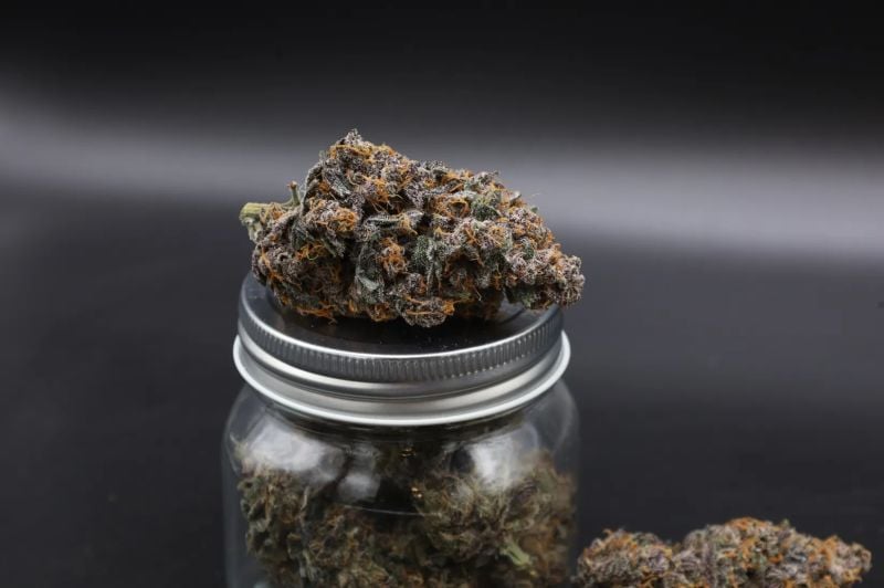Instagram Mango Cherry Runtz Auto
