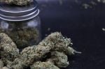 Instagram Garlic Mint Sherbet Auto™