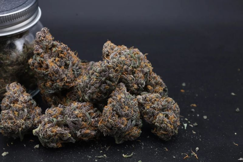 Instagram Mango Cherry Runtz Auto