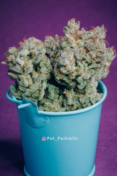 Instagram Strawberry Banana Auto