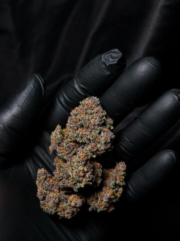 Instagram Banana Purple Punch Auto RF3