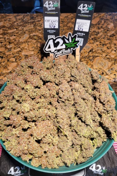 Instagram Guava Auto