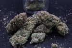 Instagram Mendo Frost Auto™