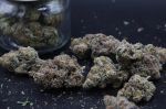 Instagram Lemon Cherry Sundae Auto™