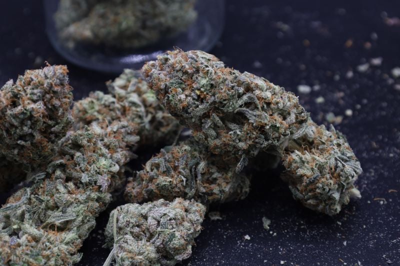 Instagram Mendo Frost Auto