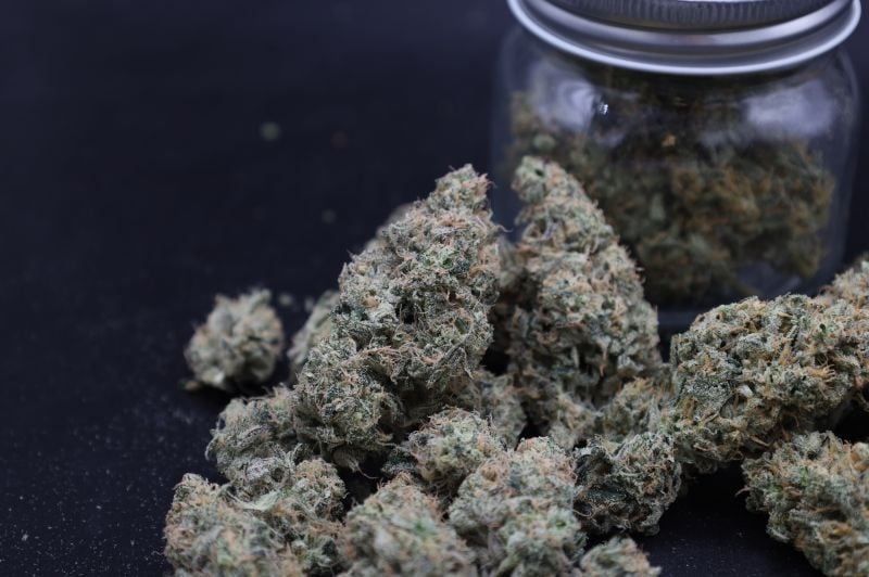 Instagram Garlic Mint Sherbet Auto