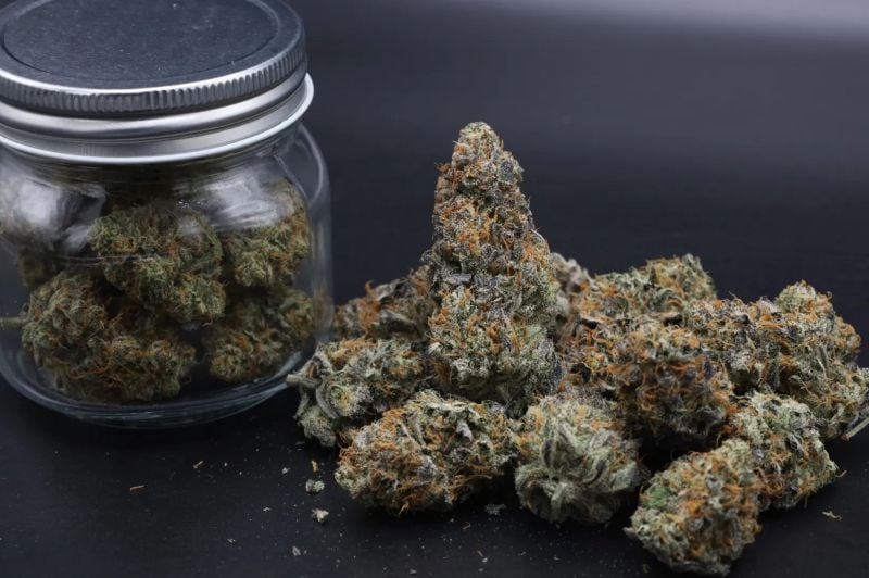 Instagram Guava Runtz Auto