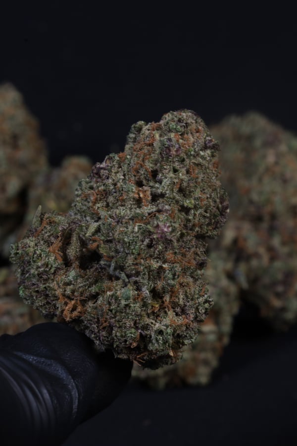 Instagram Cherry Cola Auto RF3